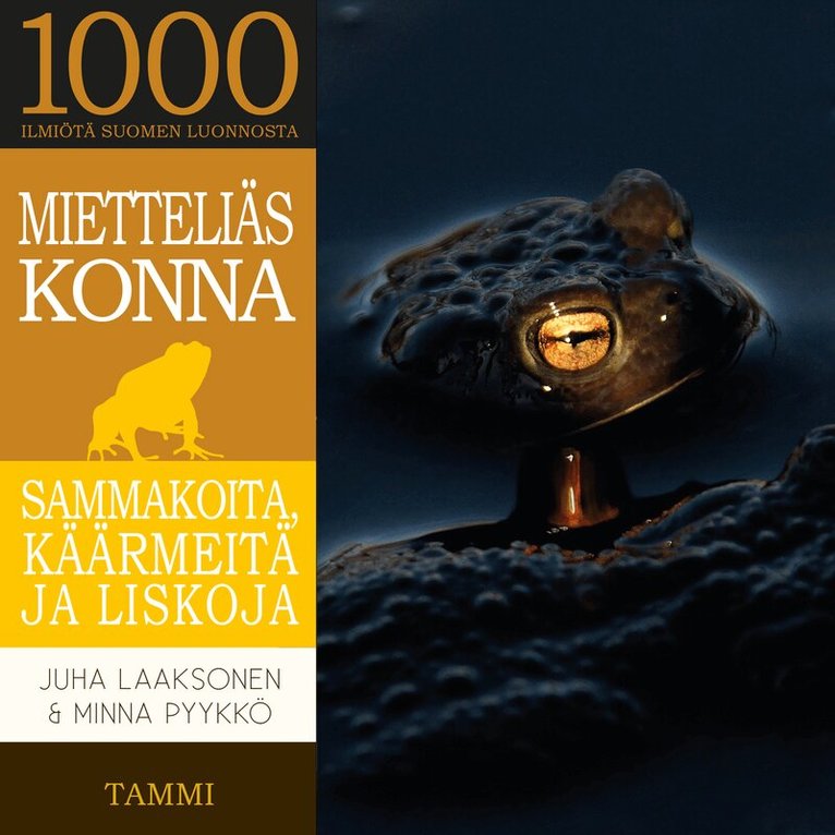 Juha Laaksonen, Minna Pyykkö - Mietteliäs konna, Ljudbok