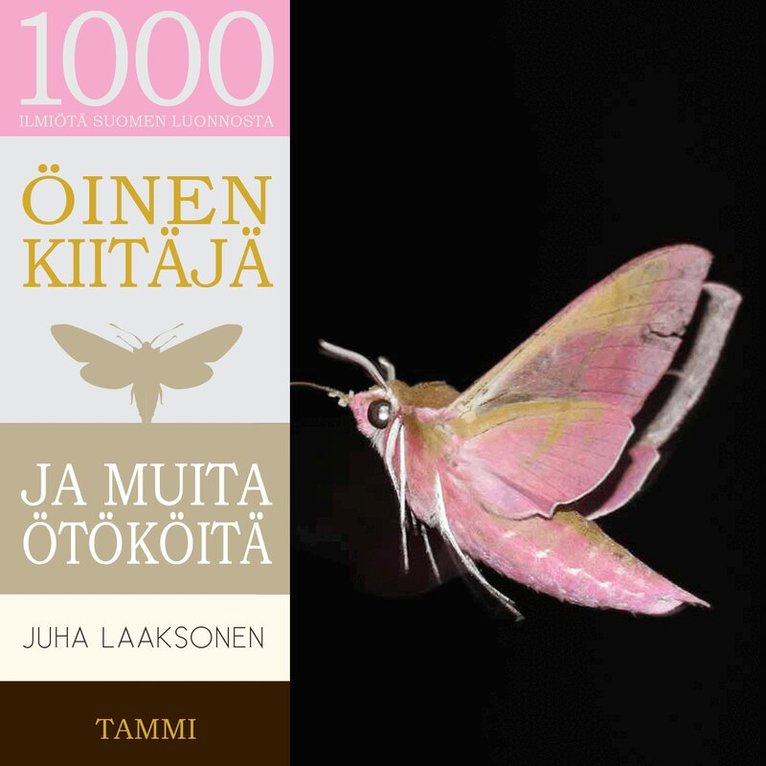 Juha Laaksonen - Öinen kiitäjä ja muita ötököitä, Ljudbok
