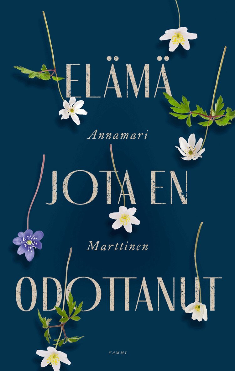 Annamari Marttinen - Elämä jota en odottanut, E-bok
