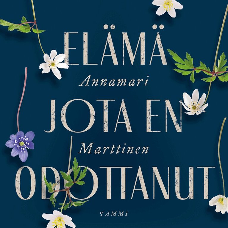Annamari Marttinen - Elämä jota en odottanut, Ljudbok