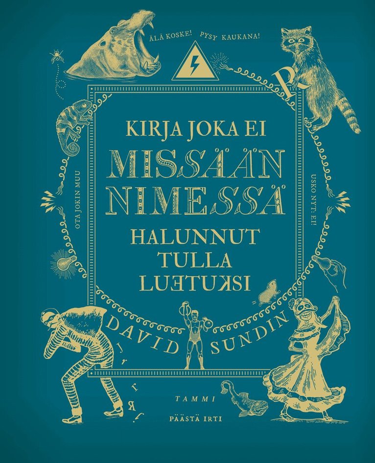 David Sundin - Kirja joka ei missään nimessä halunnut tulla luetuksi, E-bok