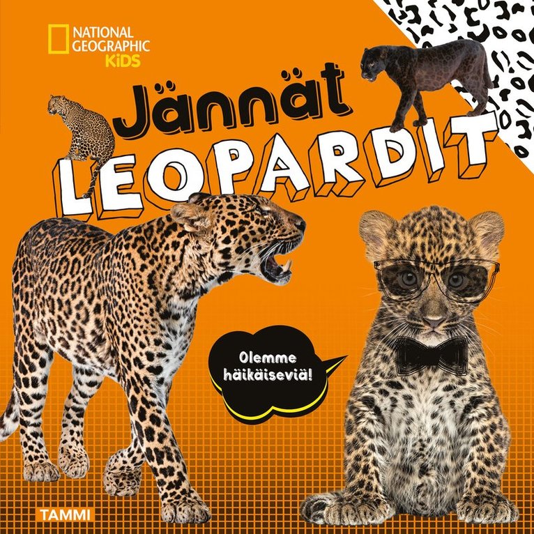 Crispin Boyer, National Geographic - National Geographic. Jännät leopardit, E-bok