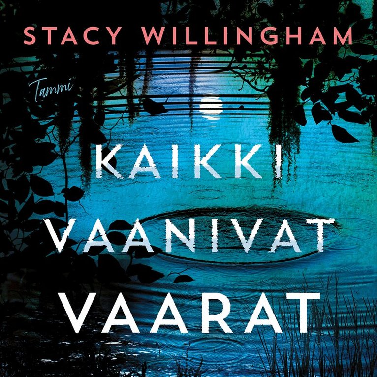 Stacy Willingham - Kaikki vaanivat vaarat, Ljudbok