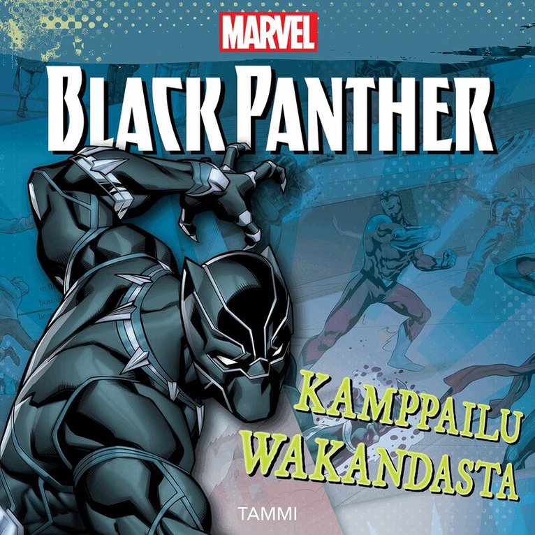Marvel, Brandon T. Snider - Marvel. Black Panther. Kamppailu Wakandasta, Ljudbok