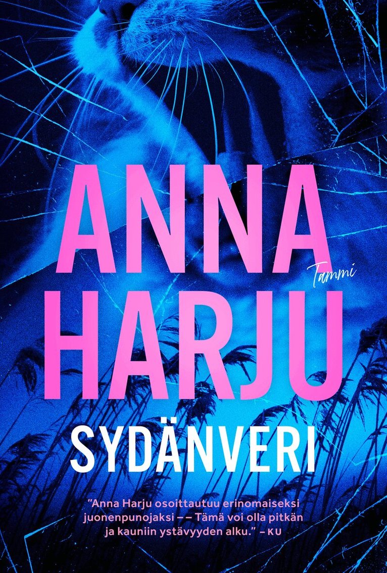 Sydänveri