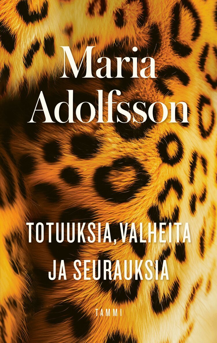 Maria Adolfsson - Totuuksia, valheita ja seurauksia, E-bok