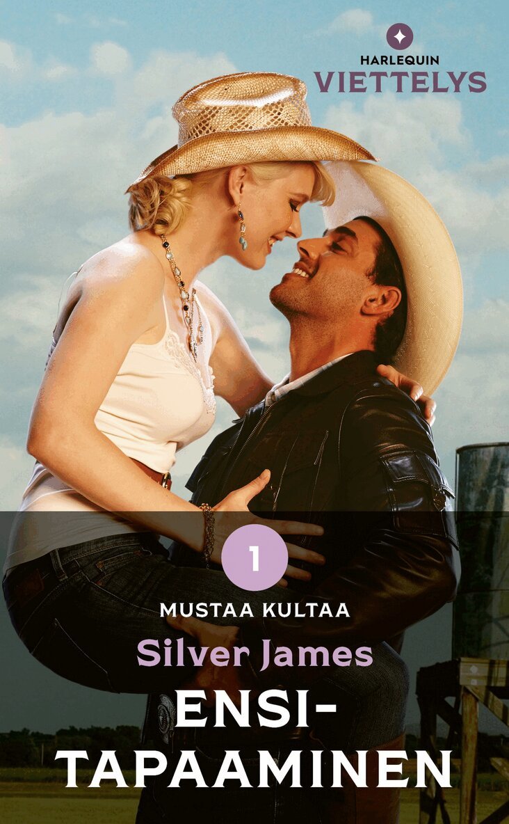 Silver James - Ensitapaaminen, E-bok