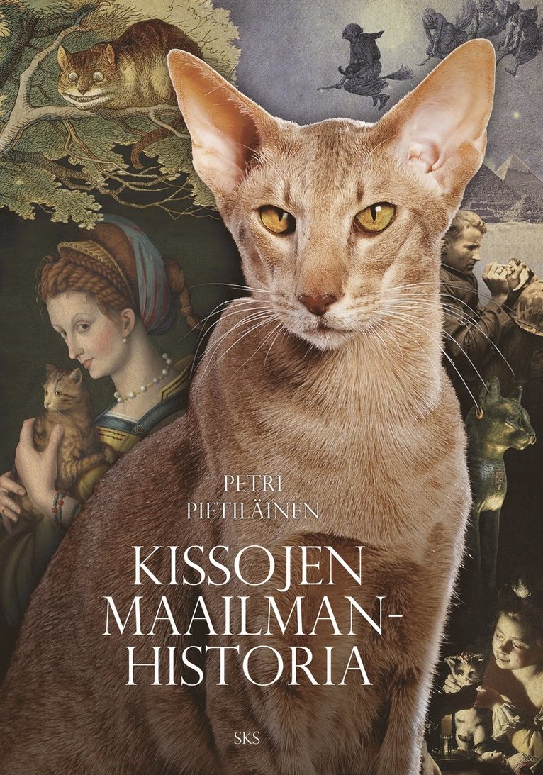 Petri Pietiläinen - Kissojen maailmanhistoria, E-bok