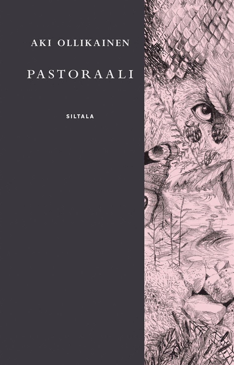 Aki Ollikainen - Pastoraali, E-bok