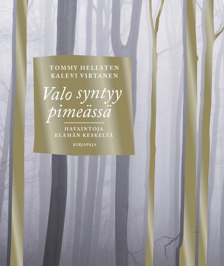 Tommy Hellsten, Kalevi Virtanen - Valo syntyy pimeässä, E-bok