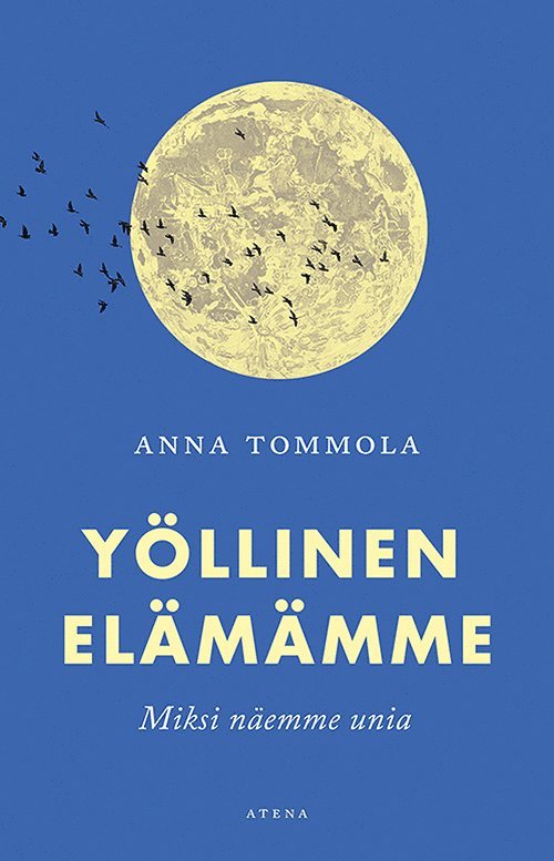 Anna Tommola - Yöllinen elämämme, E-bok