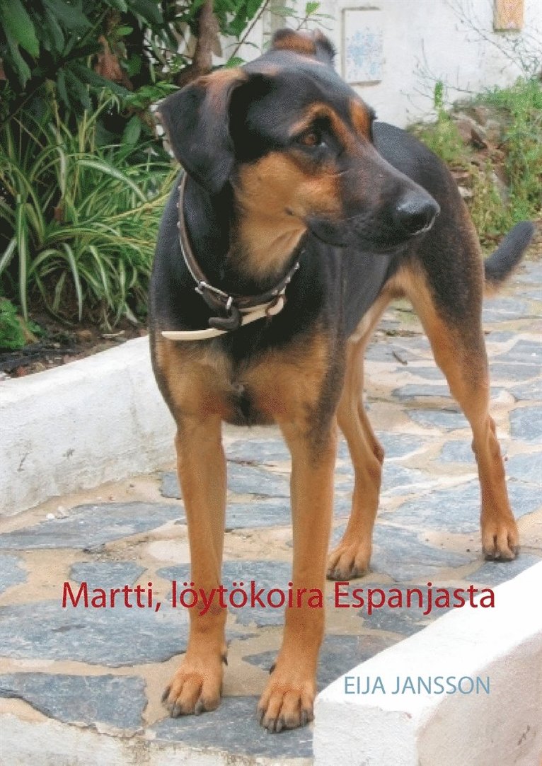 Eija Jansson - Martti, löytökoira Espanjasta, E-bok