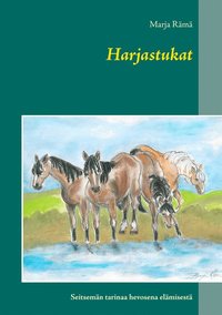 Harjastukat: Seitsemn tarinaa hevosena elmisest