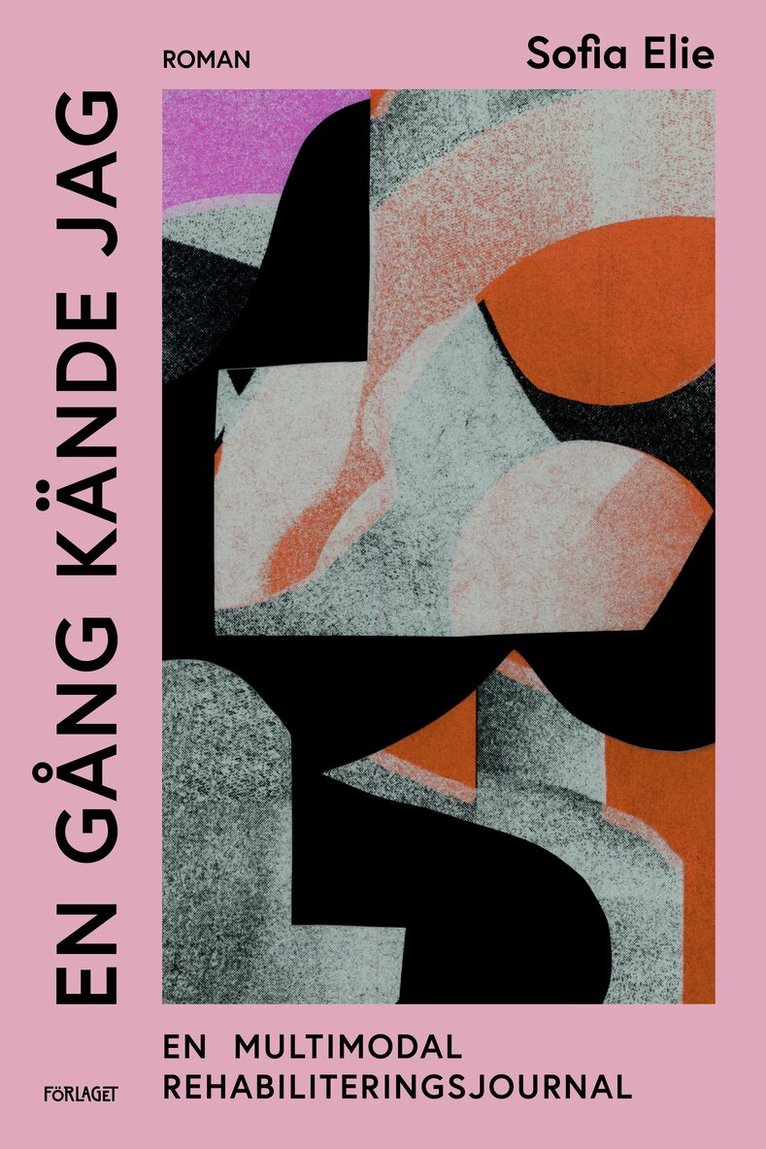 Sofia Elie - En gång kände jag : en multimodal rehabiliteringsjournal, E-bok