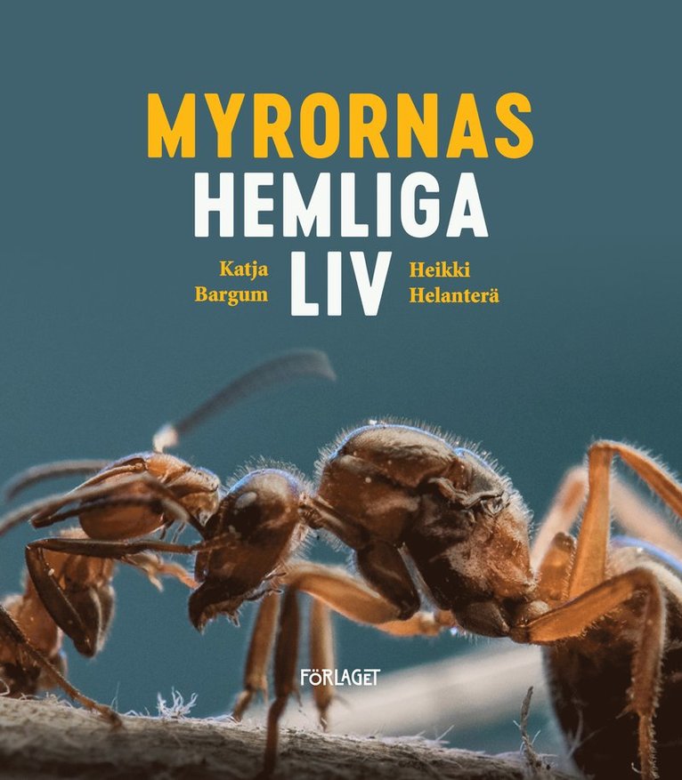 Katja Bargum, Heikki Helanterä - Myrornas hemliga liv, E-bok