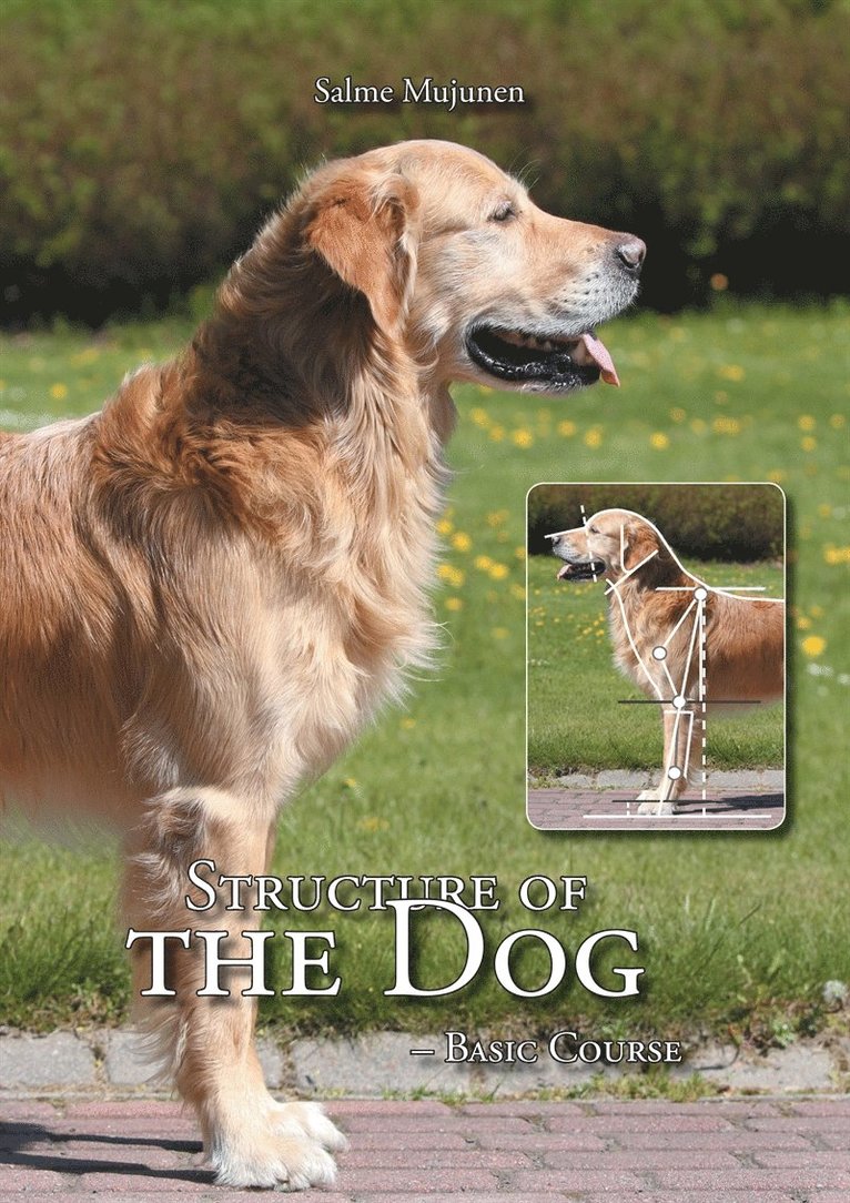Salme Mujunen, Pirkko Vesterinen - Structure of the Dog: Basic Course, E-bok