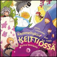 Kommelluksia keittiss