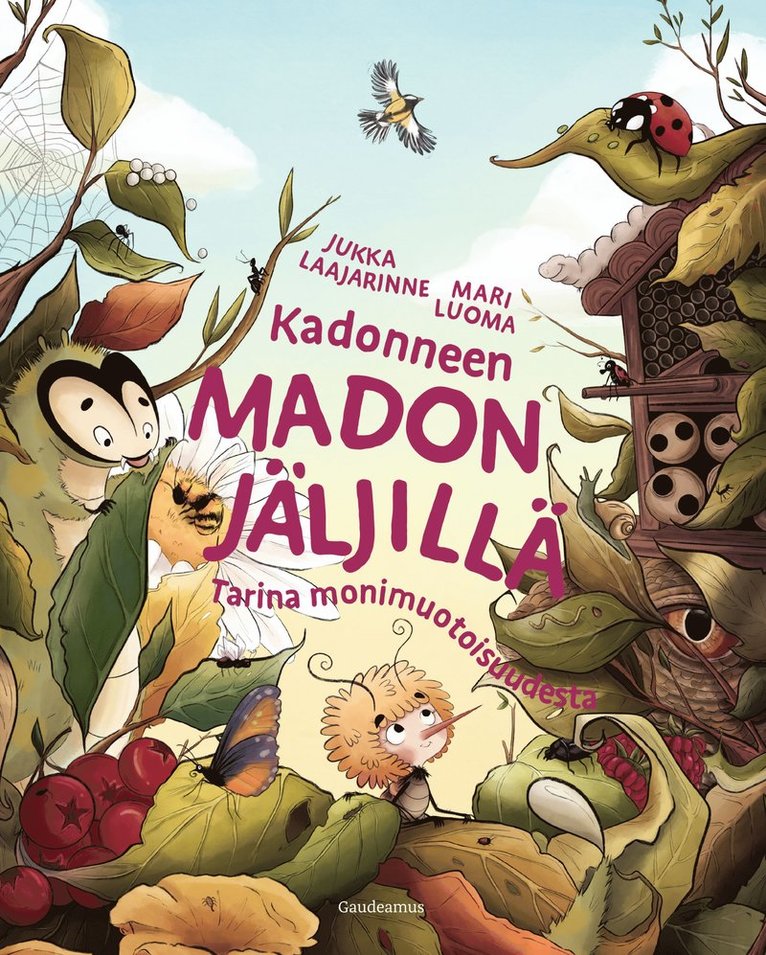 Jukka Laajarinne - Kadonneen madon jäljillä, E-bok