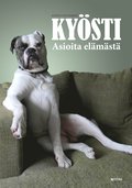 Kysti