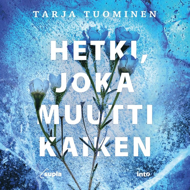 Tarja Tuominen - Hetki, joka muutti kaiken, E-bok