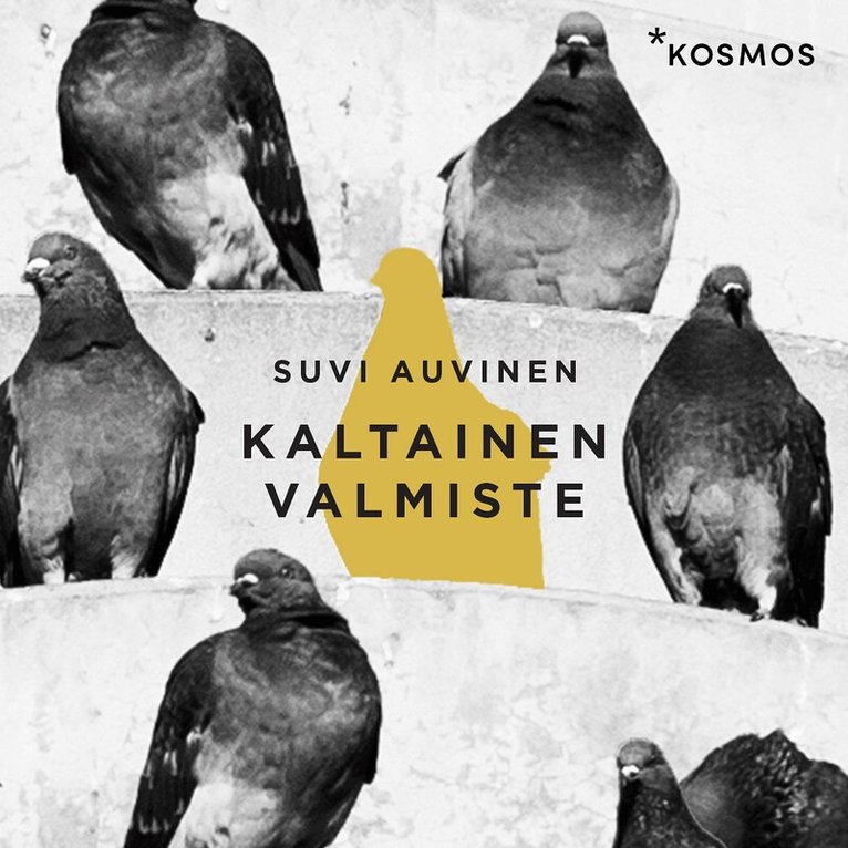 Suvi Auvinen - Kaltainen valmiste, Ljudbok
