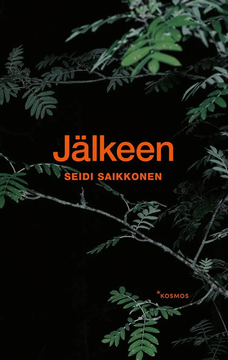 Seidi Saikkonen - Jälkeen, E-bok. Tillgänglighet: Lägg i varukorg