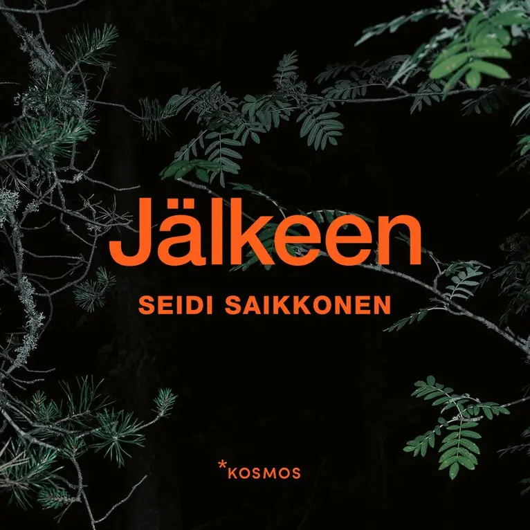 Seidi Saikkonen - Jälkeen, Ljudbok. Tillgänglighet: Lägg i varukorg