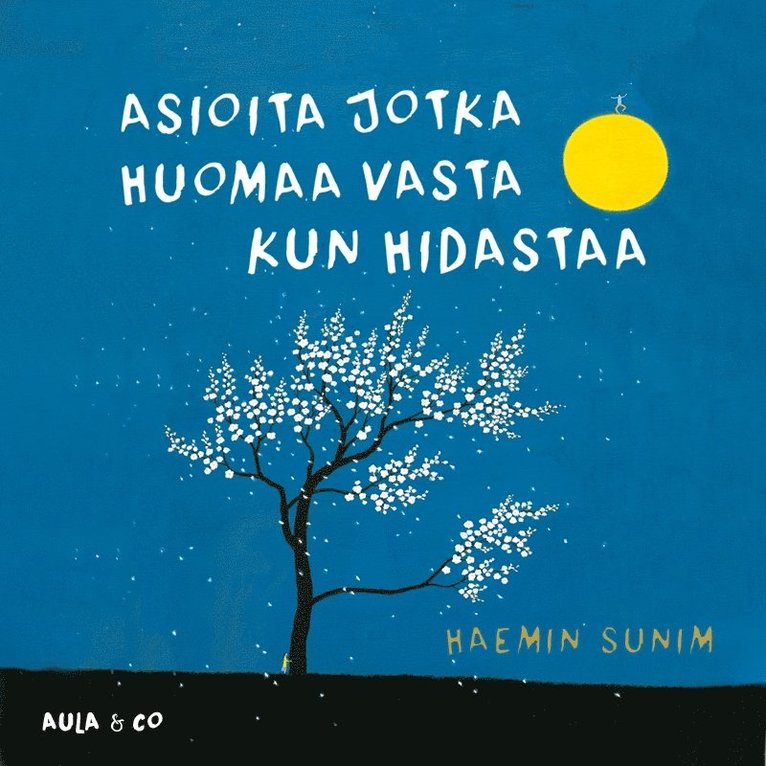 Haemin Sunim - Asioita jotka huomaa vasta kun hidastaa, Ljudbok