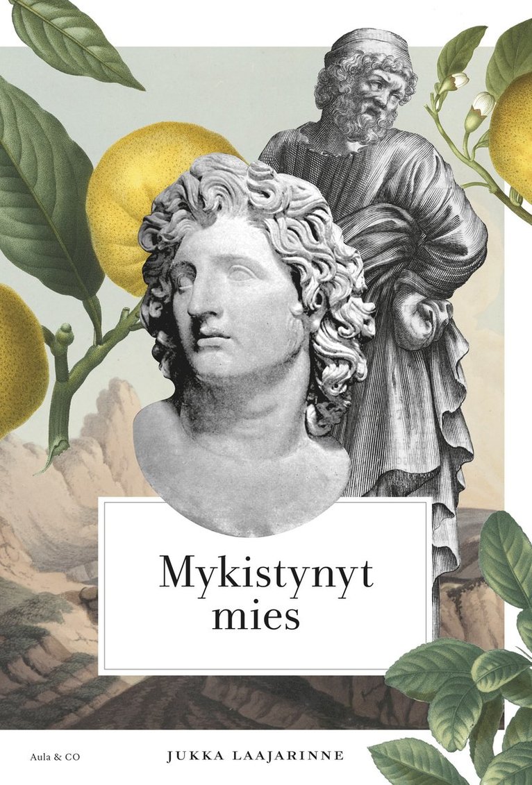Jukka Laajarinne - Mykistynyt mies, E-bok