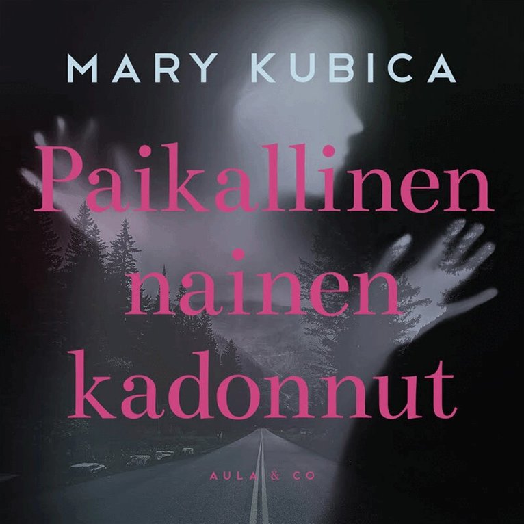 Mary Kubica - Paikallinen nainen kadonnut, Ljudbok