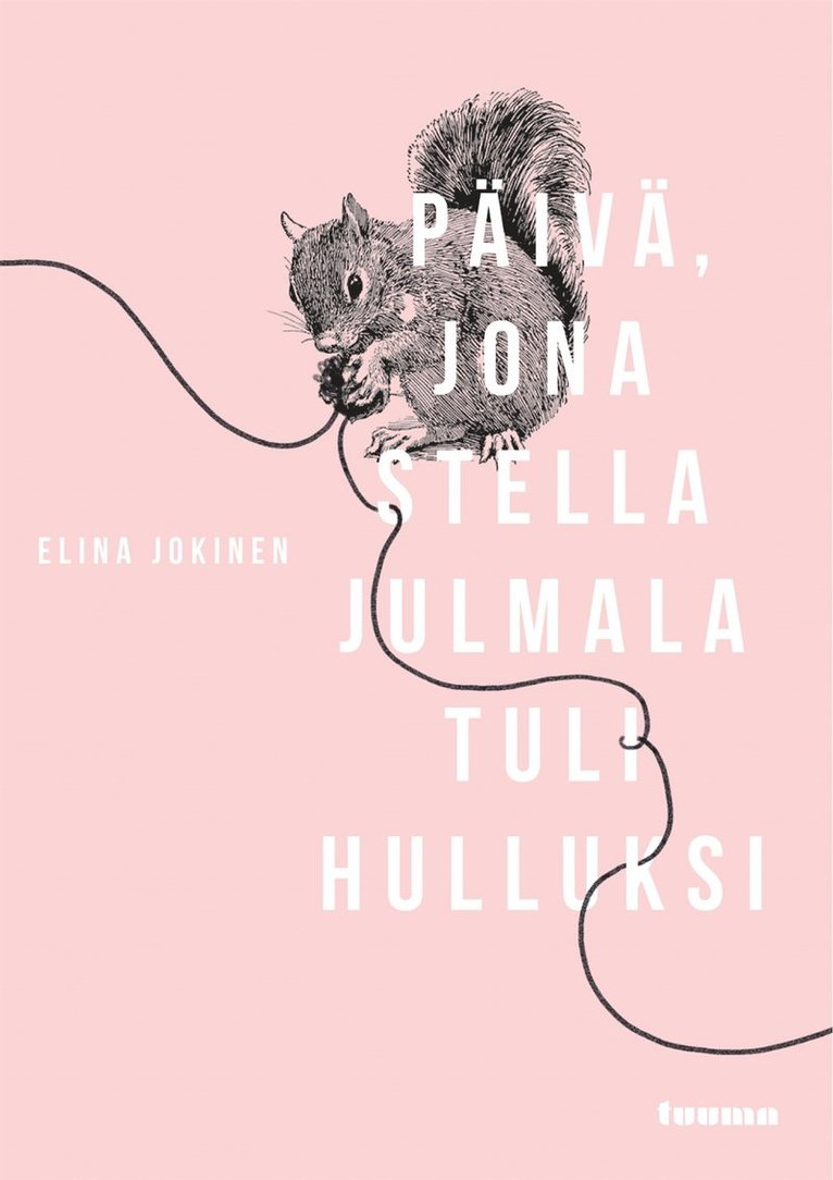 Elina Jokinen - Päivä, jona Stella Julmala tuli hulluksi, E-bok