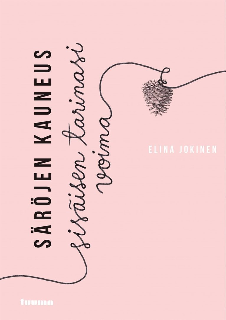 Elina Jokinen - Säröjen kauneus, E-bok