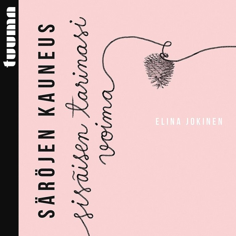 Elina Jokinen - Säröjen kauneus, Ljudbok