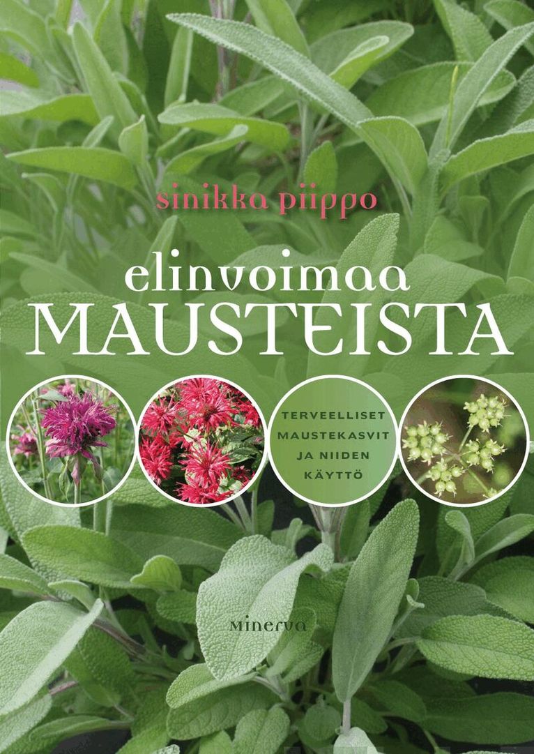 Sinikka Piippo - Elinvoimaa mausteista, E-bok