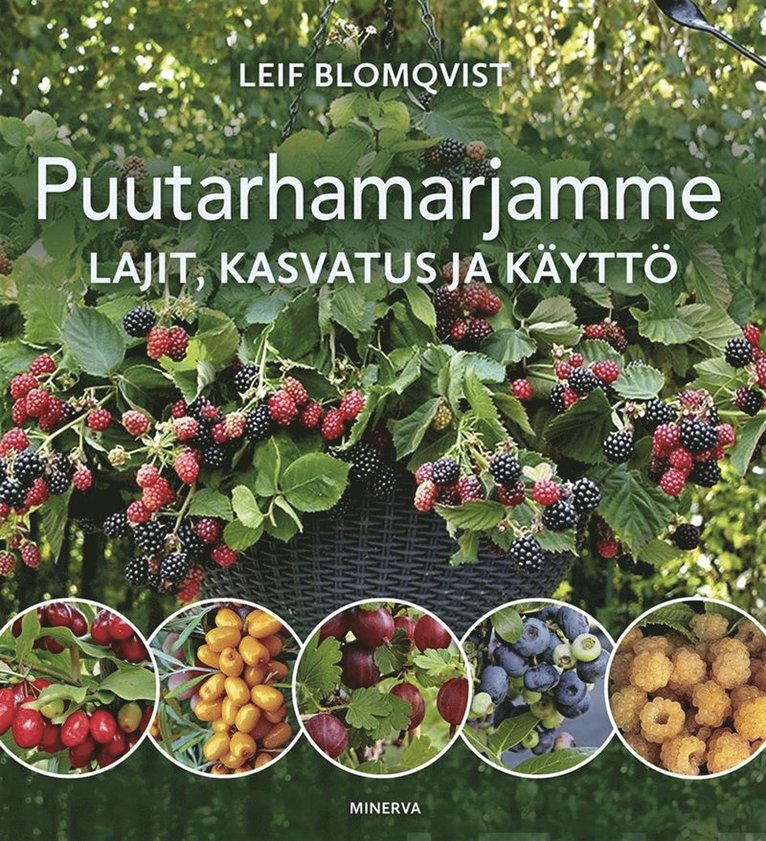 Leif Blomqvist - Puutarhamarjamme, E-bok