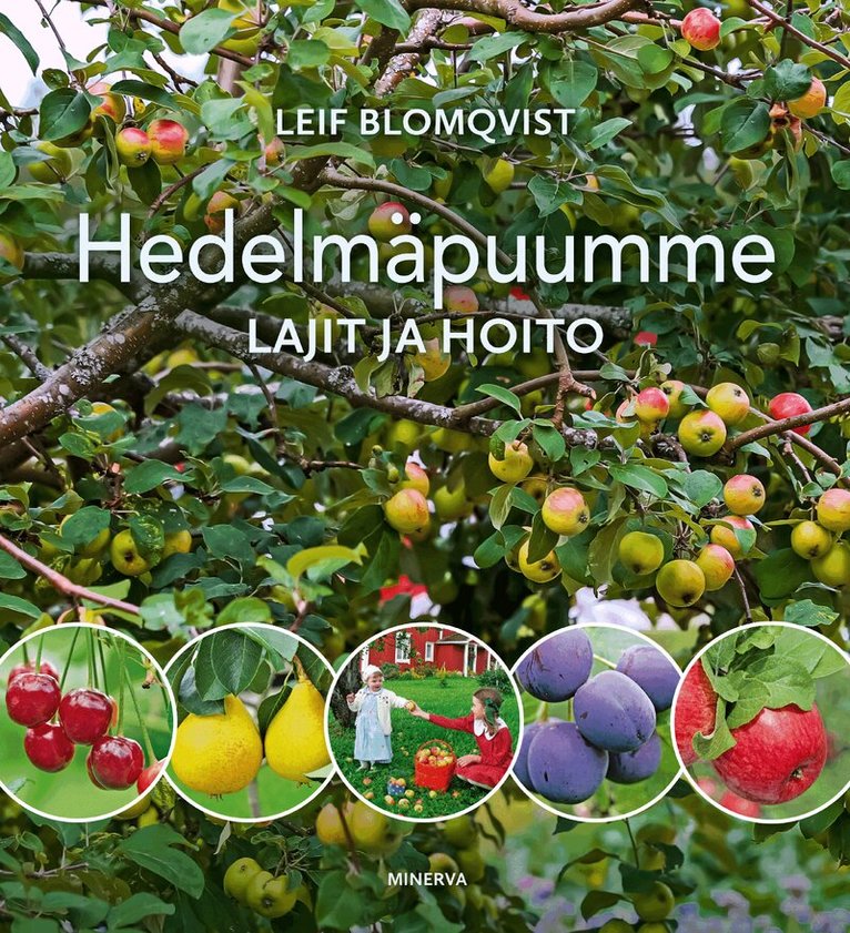 Leif Blomqvist - Hedelmäpuumme, E-bok