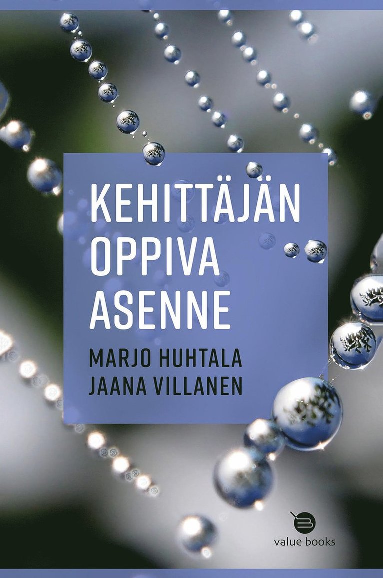 Jaana Villanen, Marjo Huhtala - Kehittäjän oppiva asenne, E-bok