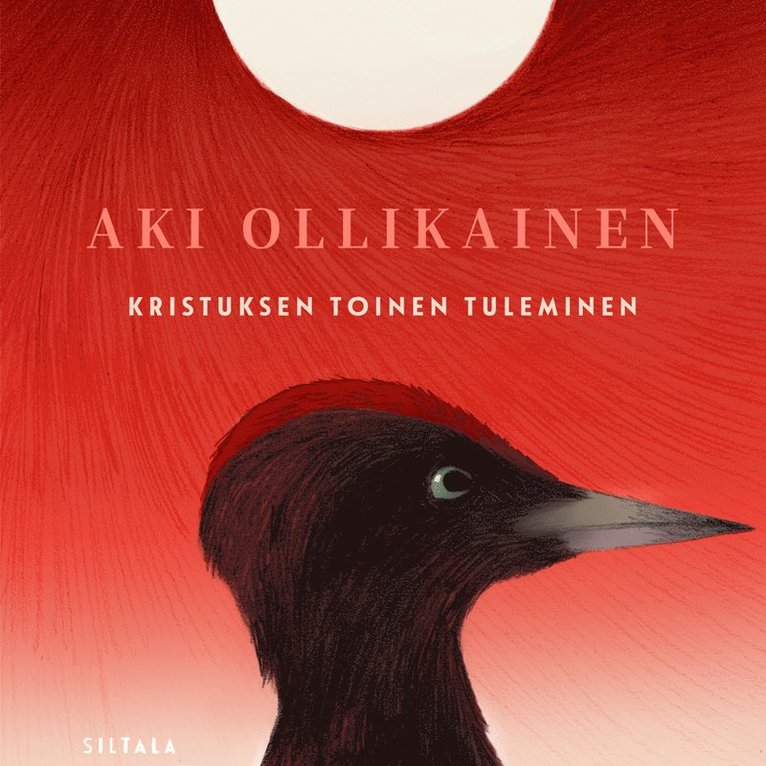 Aki Ollikainen - Kristuksen toinen tuleminen, Ljudbok