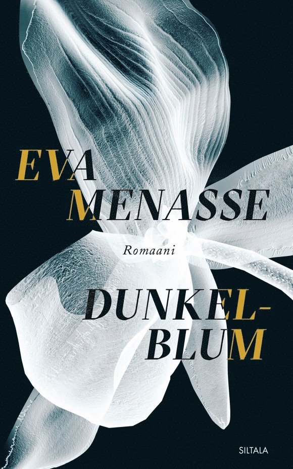 Eva Menasse - Dunkelblum, E-bok
