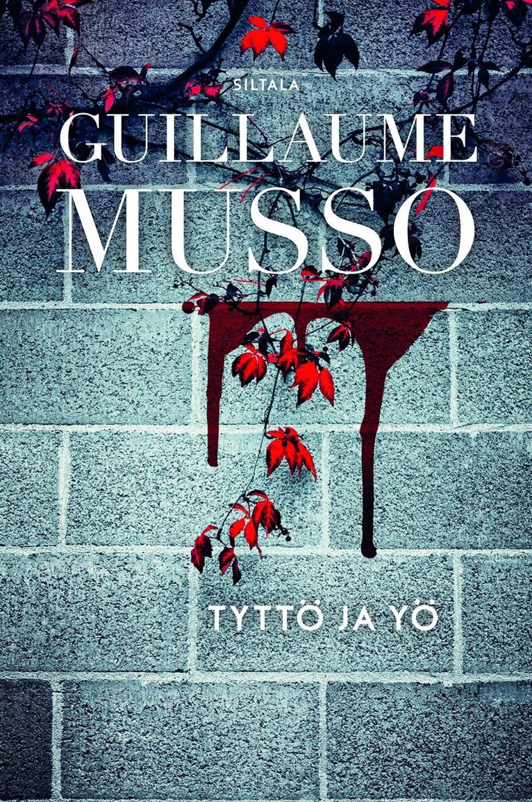 Guillaume Musso - Tyttö ja yö, E-bok