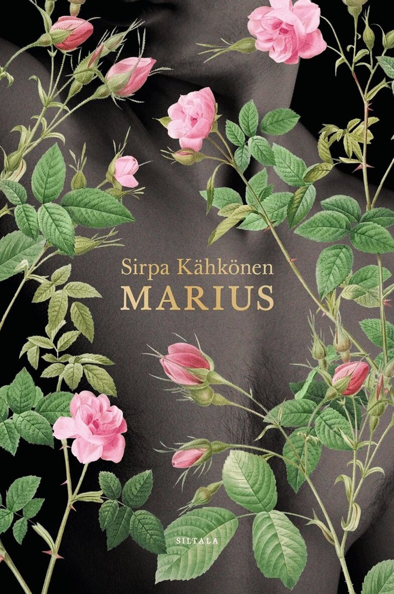 Sirpa Kähkönen - Marius, E-bok