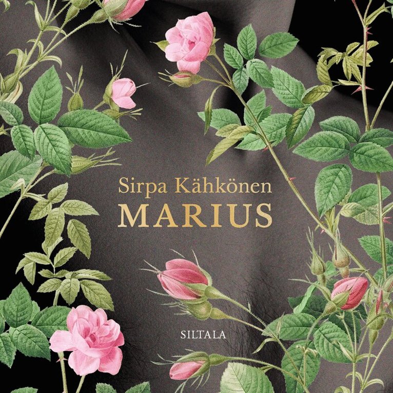 Sirpa Kähkönen - Marius, Ljudbok