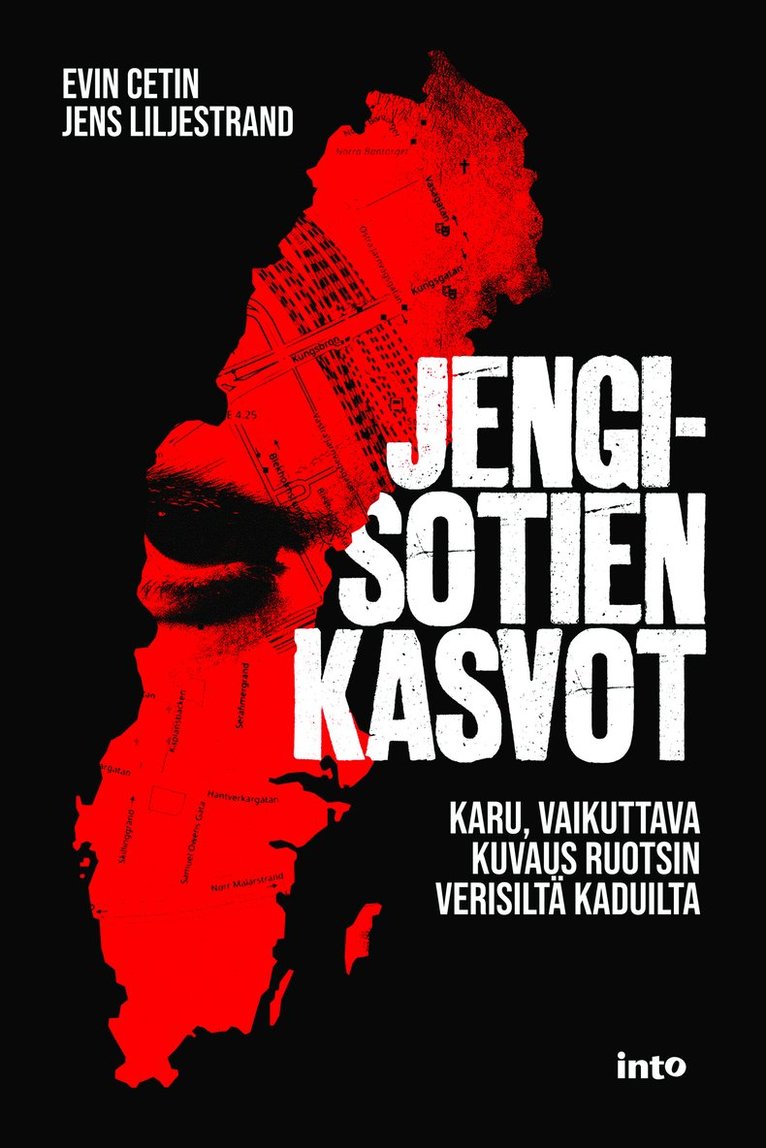 Jens Liljestrand, Evin Cetin - Jengisotien kasvot, E-bok