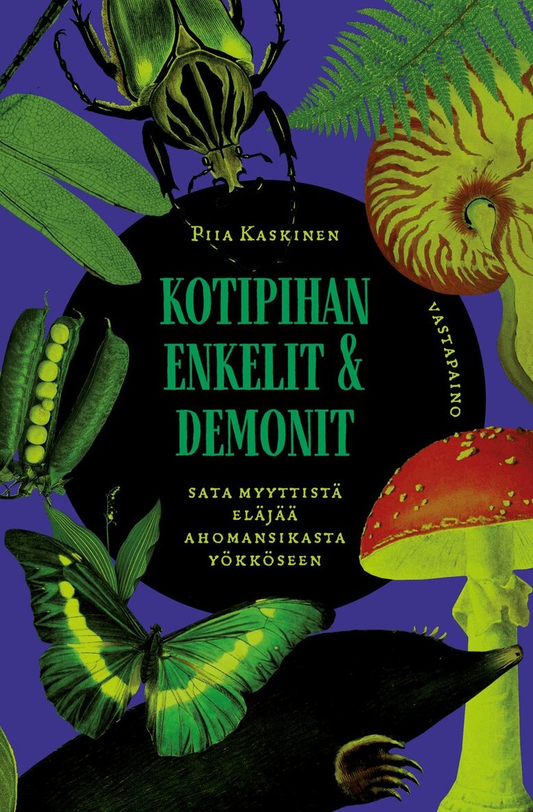 Piia Kaskinen - Kotipihan enkelit ja demonit, E-bok