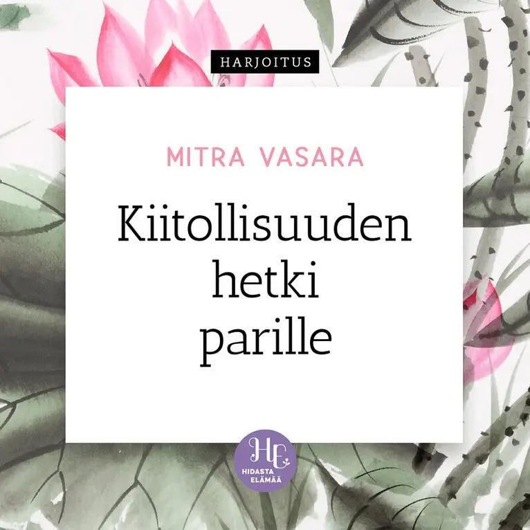 Mitra Vasara - Kiitollisuuden hetki parille, Ljudbok. Tillgänglighet: Lägg i varukorg
