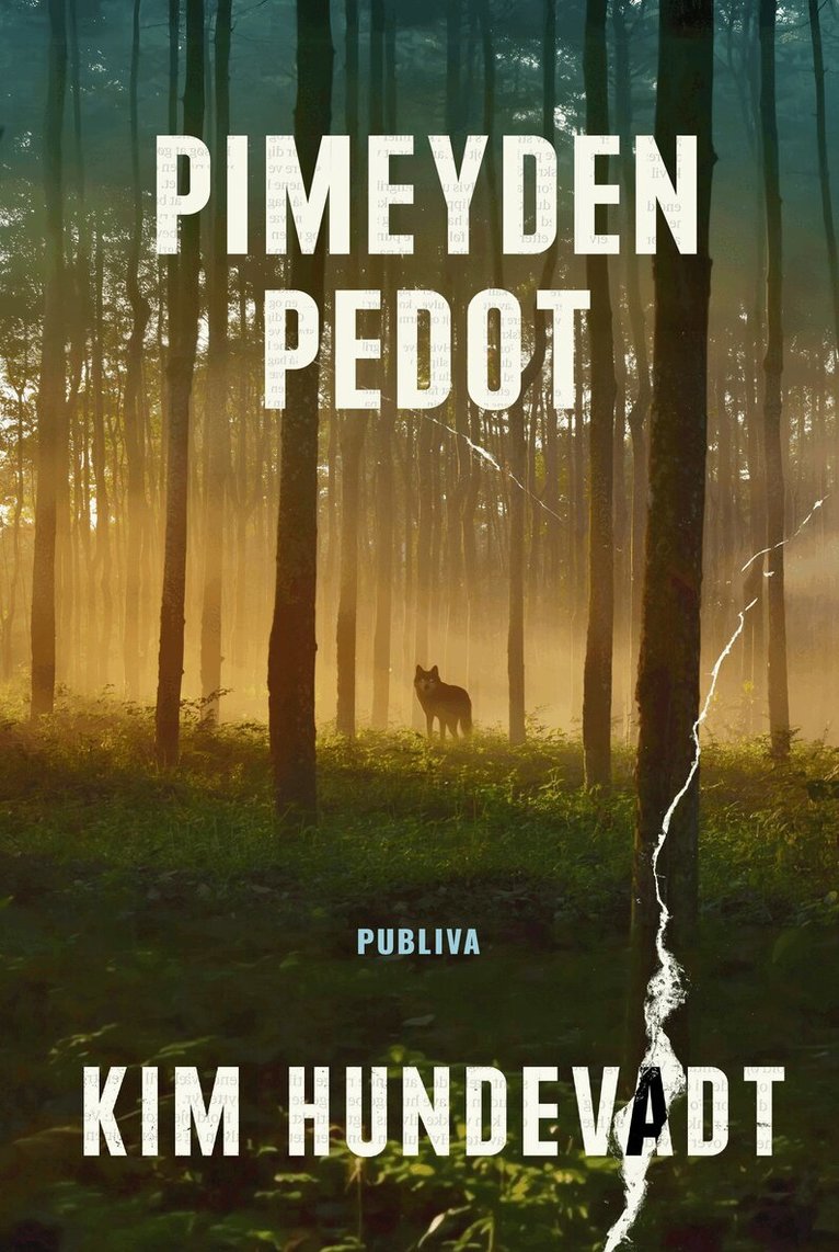 Kim Hundevadt - Pimeyden pedot, E-bok