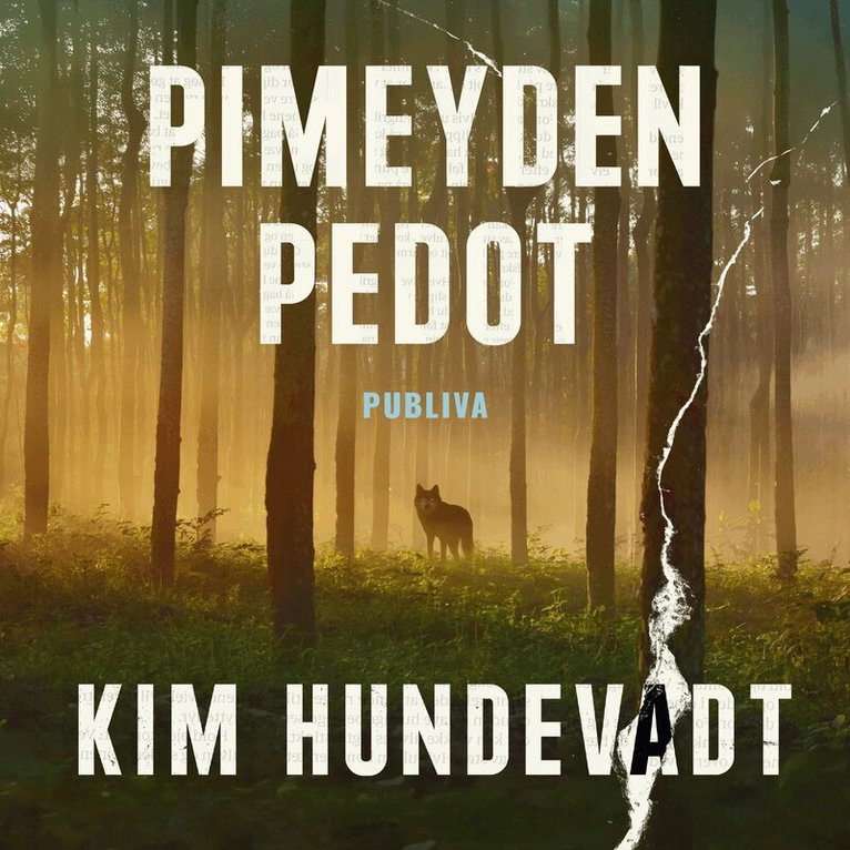 Kim Hundevadt - Pimeyden pedot, Ljudbok