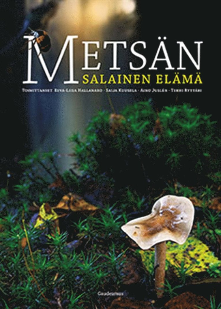 Metsän salainen elämä