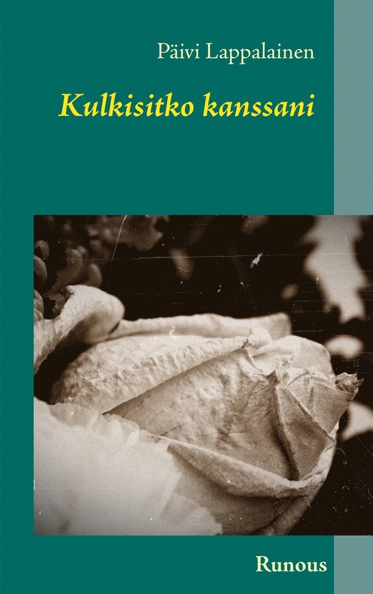 Päivi Lappalainen - Kulkisitko kanssani, E-bok