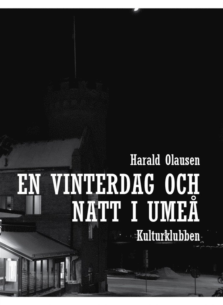 Harald Olausen - En vinterdag och  natt i umeå, E-bok